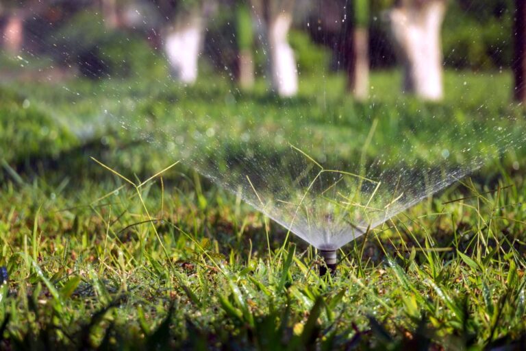 Sprinkler Types Explained: Hose-End, Spray, Rotor and Drip